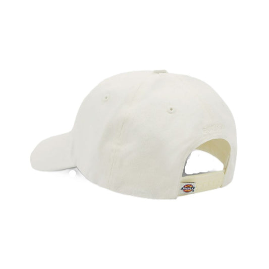 Dickies Hardwick Baseball Cap