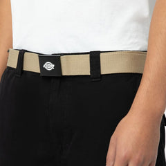 Dickies Orcutt Belt