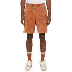 Dickies Chase City Shorts