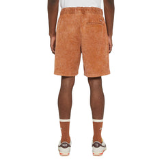 Dickies Chase City Shorts