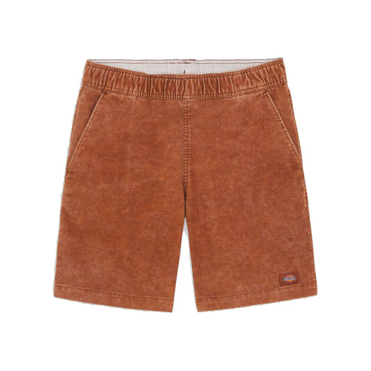 Dickies Chase City Shorts