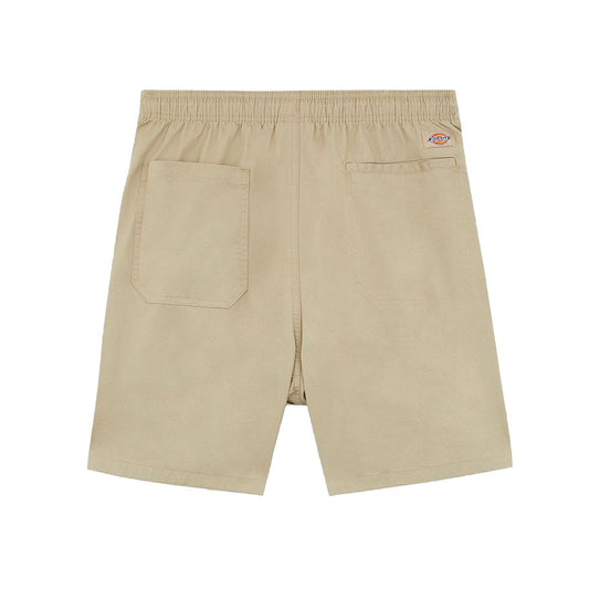 Dickies Pelican Rapids Shorts