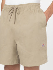 Dickies Pelican Rapids Shorts